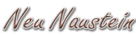 naustein.at